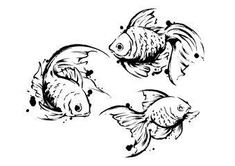 金魚