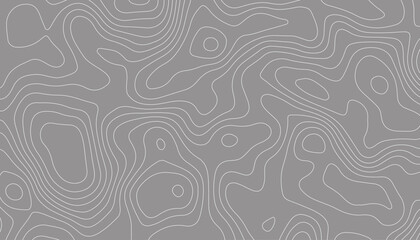 Background of the topographic map.  Abstract geographic grid. Topographic map lines, contour background.