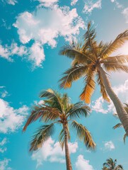Vibrant Green Palm Leaves Against Clear Blue Sky with Ample Space for Advertising. Tropical Nature and Summer Concept Showcasing Natural Beauty and Tranquility.