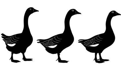 Fototapeta premium schwarze Silhouette Kontrast Gans icon set isoliert auf weißen Hintergrund, Freisteller 