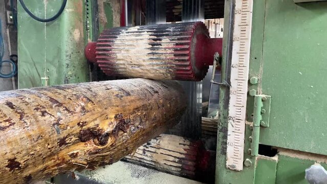 Holzverarbeitung in einem S&auml;gewerk 