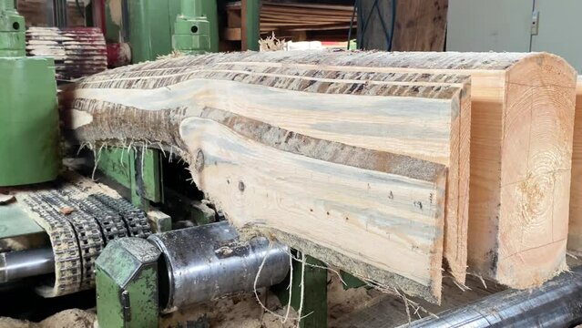 Holzverarbeitung in einem S&auml;gewerk 