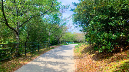 瀬板の森公園 北九州市