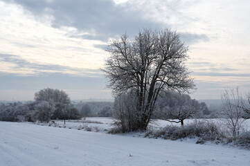 Obraz premium Winter bei Urberach