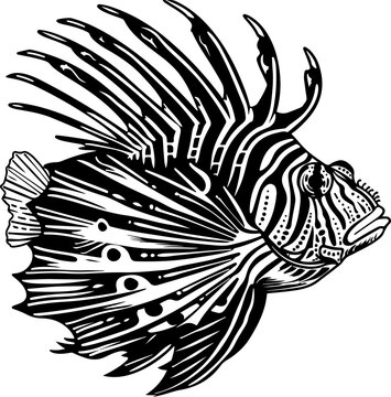 black and white lionfish drawing clip art preview