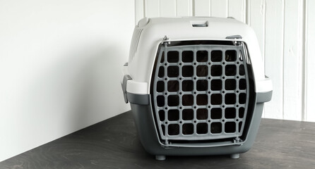 Cat sits in a gray plastic carrier. Dangerous view of an isolated animal. Animal is ready for safe transportation. Homeless wild cat. Trip to the vet clinic