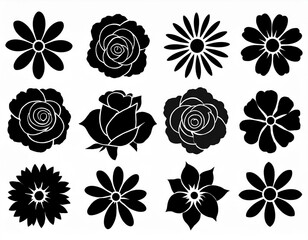 Fototapeta premium black and white flowers