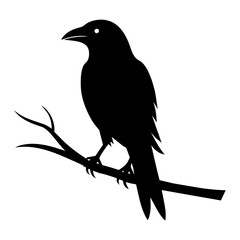 Fototapeta premium Crow setting on a branch vector silhouette illustration 