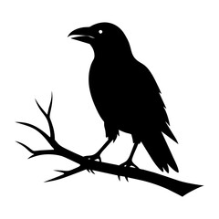  Crow setting on a branch vector silhouette illustration 