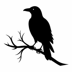  Crow setting on a branch vector silhouette illustration 