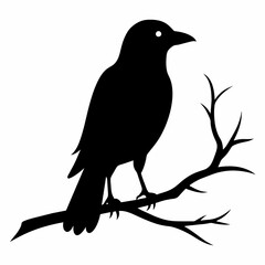  Crow setting on a branch vector silhouette illustration 