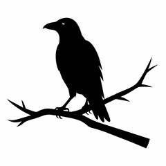  Crow setting on a branch vector silhouette illustration 