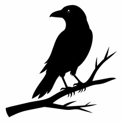  Crow setting on a branch vector silhouette illustration 