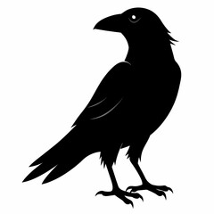  Crow setting on a branch vector silhouette illustration 