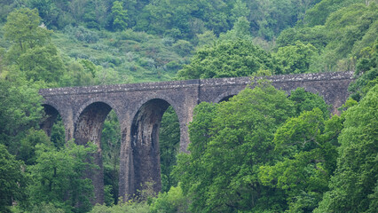 Scenic landscape view of railway line viaduct bridge and arches surrounded by dense forest trees on the Dartmouth Railway Steam train journey in Devon, England UK