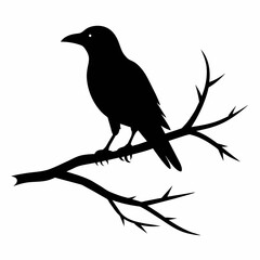  Crow setting on a branch vector silhouette illustration 