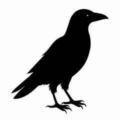  Crow setting on a branch vector silhouette illustration 