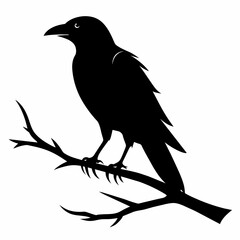 Fototapeta premium Crow setting on a branch vector silhouette illustration 