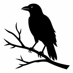  Crow setting on a branch vector silhouette illustration 