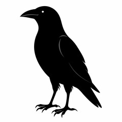  Crow setting on a branch vector silhouette illustration 