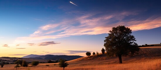 Comet Neowise shines in the night sky above the lake, framed by ethereal Noctilucent clouds, creating a picturesque copy space image.