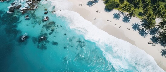 A captivating aerial view captured by a drone showing a surfer enjoying the turquoise waters of a tropical beach, with plenty of copy space in the image.