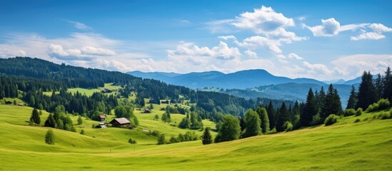 A scenic summer rural landscape featuring mountains, green pastures, forested hills, under clear blue skies, creating an ideal copy space image.