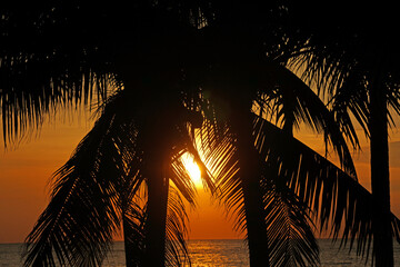 Landscape Tranquil scene of big red sun and orange sky sunset over the sea and silhouette coconut tree at pattaya Thailand.