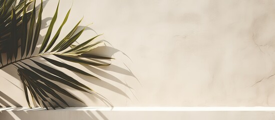 Fototapeta premium Summer travel concept featuring delicate palm leaf shadows on textured concrete backdrop, ideal for advertising use as an abstract image with copy space.