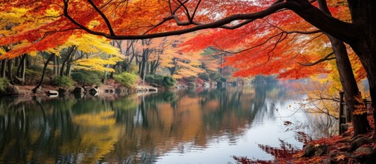 Beautiful autumn landscape featuring colorful leaves around a serene lake, perfect for nature...
