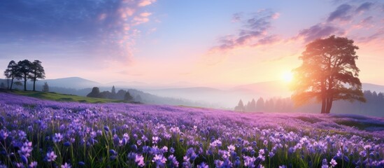 Captivating countryside scene at sunrise with blooming purple flowers in a spring meadow and wildflowers at sunset, creating a serene summer panoramic view with copy space image.