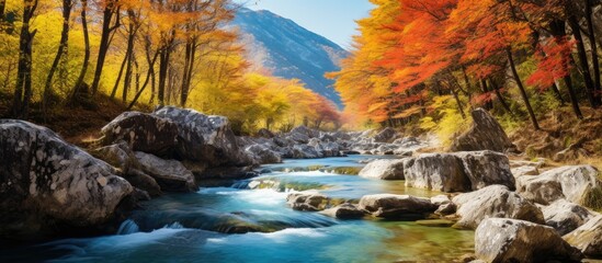 Mountain river waterfall in fall with copy space image.