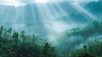 Sunlight streaming through a mountain valley with mist and green trees, creating a serene landscape.