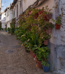 Jewish quarter in Hervas. Street with flowers in the Jewish quarter in Hervas, Caceres.