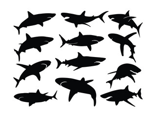 Collection of black Shark silhouette. Sea animal Shark vector illustration on a white background.