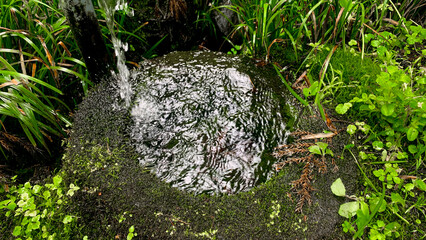 納池公園 綺麗な湧水と澄んだ小川