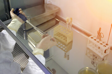 Close-up Of A Gloved Scientist Using A Pipette In A Biosafety Cabinet
