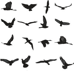 set of silhouettes of birds