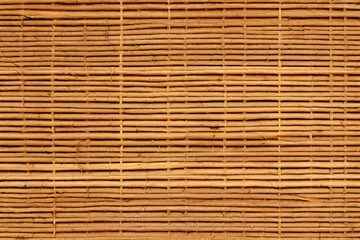 Obraz premium texture of a bamboo