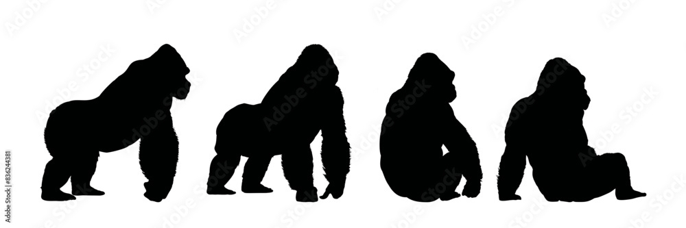 Wall mural set of  gorilla silhouette - vector illustration