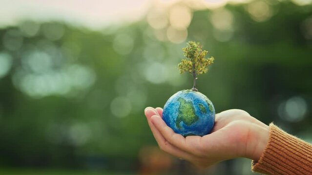 World environment day, B roll - hands of woman holding globe with tree on green tree bokeh background, ecology concept, earth day, Better Environment, copy space.