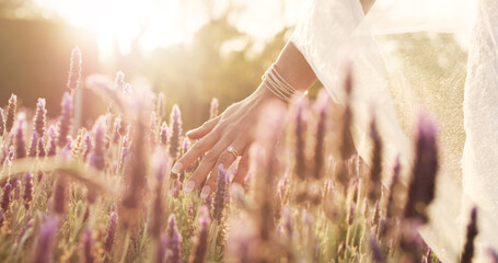 Lavender flower, walking and hand of woman in field for calm, peace, aromatherapy in nature....