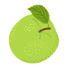 Green juicy ripe apple with green leaf. Hand drawn green apple trendy flat style isolated vector illustration. Apple harvest. Healthy vegetarian snack, fresh apple for design.