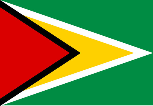 Guyana flag illustrator country flags