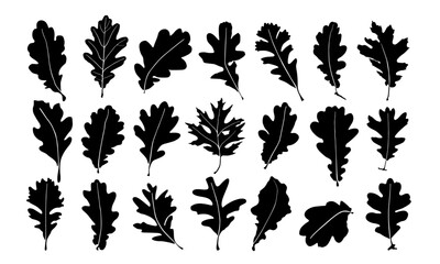 Oak leaves silhouette collection