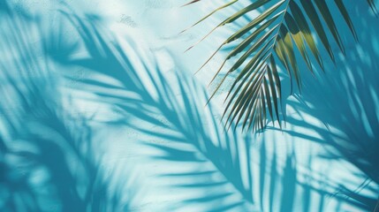 Blurry palm leaf shadows on a light blue wall Simple abstract backdrop for showcasing products Spring and summer vibes