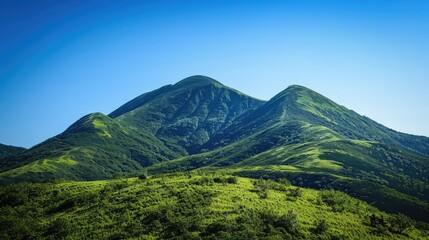 Mountain covered in green under a clear blue sky