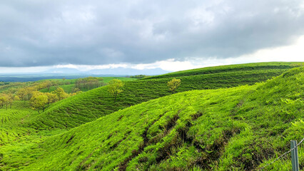阿蘇の絶景ドライブコース