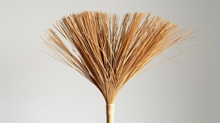 A broomstick with a bunch of straws on it