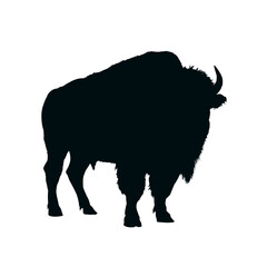 Bison, buffalo silhouette - vector illustration